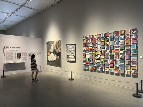汇聚67件精品力作, 成渝地区美术馆精品交流展 亮相四川美术馆