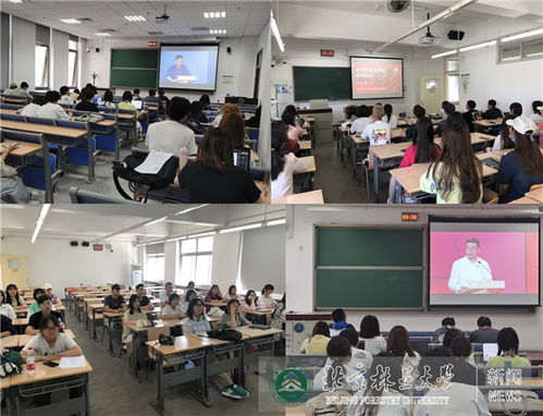 艺术设计学院组织学生观看中国艺术大讲堂启动仪式