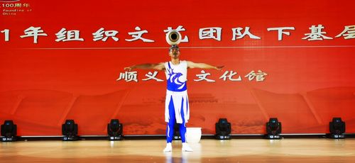 顺义区文化馆组织文艺团体下基层16场巡演任务圆满完成