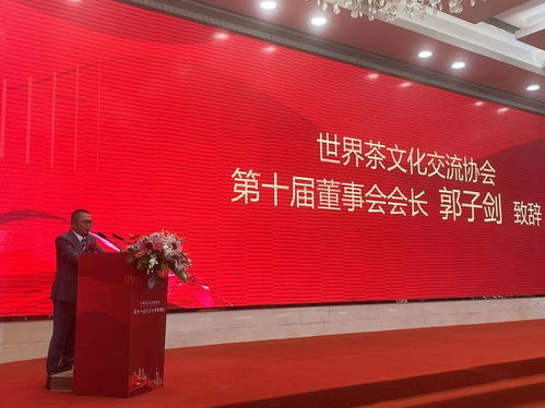 王曼龙当选世界茶文化交流协会新一届会长，第十届董事会第二次会议圆满举行